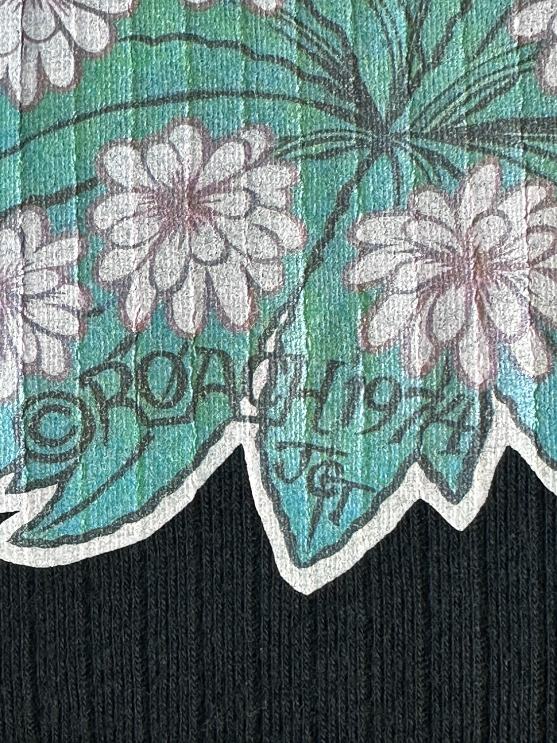 Vintage 1974 “Tequila Sunrise” Tank Top – Roach Iron-On Graphic