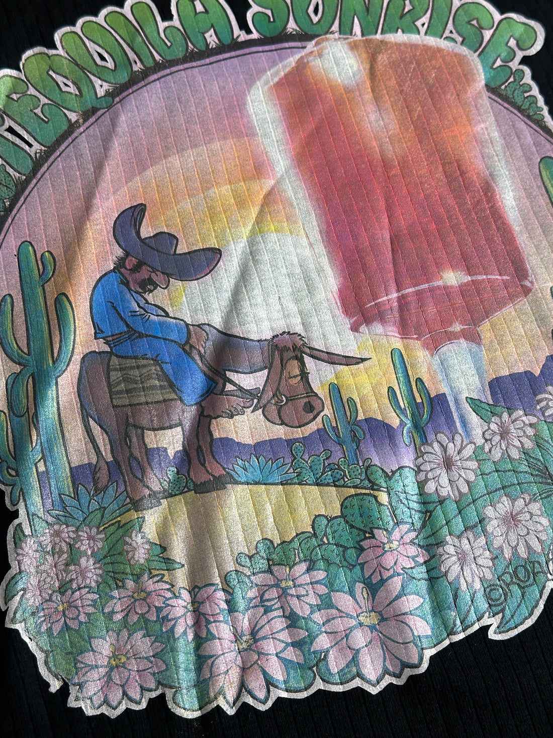 Vintage 1974 “Tequila Sunrise” Tank Top – Roach Iron-On Graphic